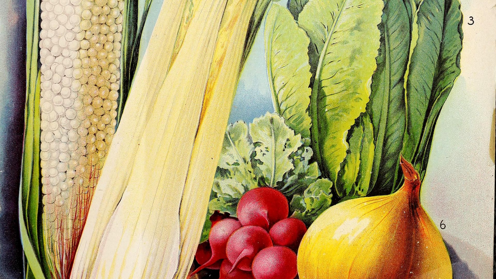 File:Wm. Elliott and Sons seedsmen - 1898 (1898) (14781700222).jpg