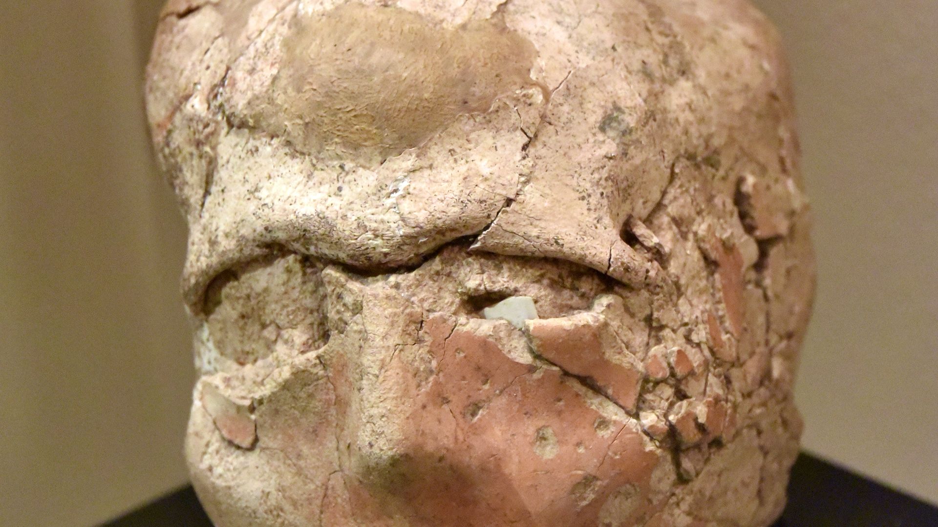 File:Plastered skull. Such skulls were buried in houses and probably represent ancestral cults. Pre-Pottery Neolithic B, 8800-6900 BCE. From Jericho, in modern-day Palestinian Territories. The Jordan Museum, Amman.jpg