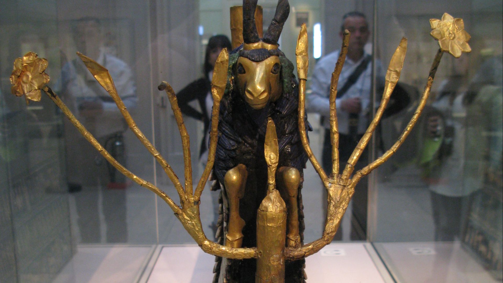 File:Ram in a Thicket head on.jpg