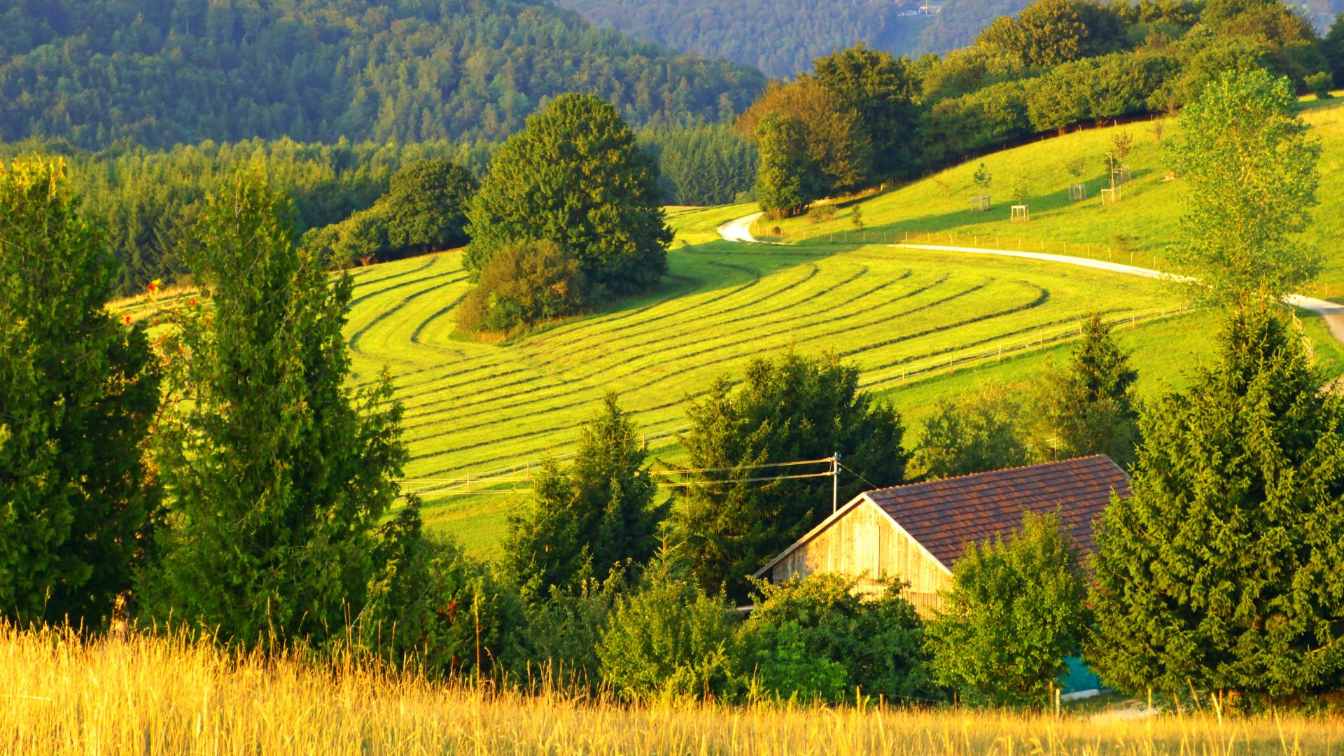 File:Swabian Jura - panoramio (2).jpg