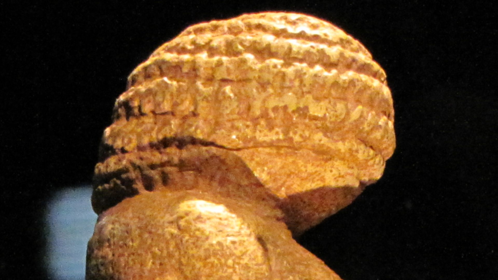 File:2011-07-09 gasometer 29.JPG