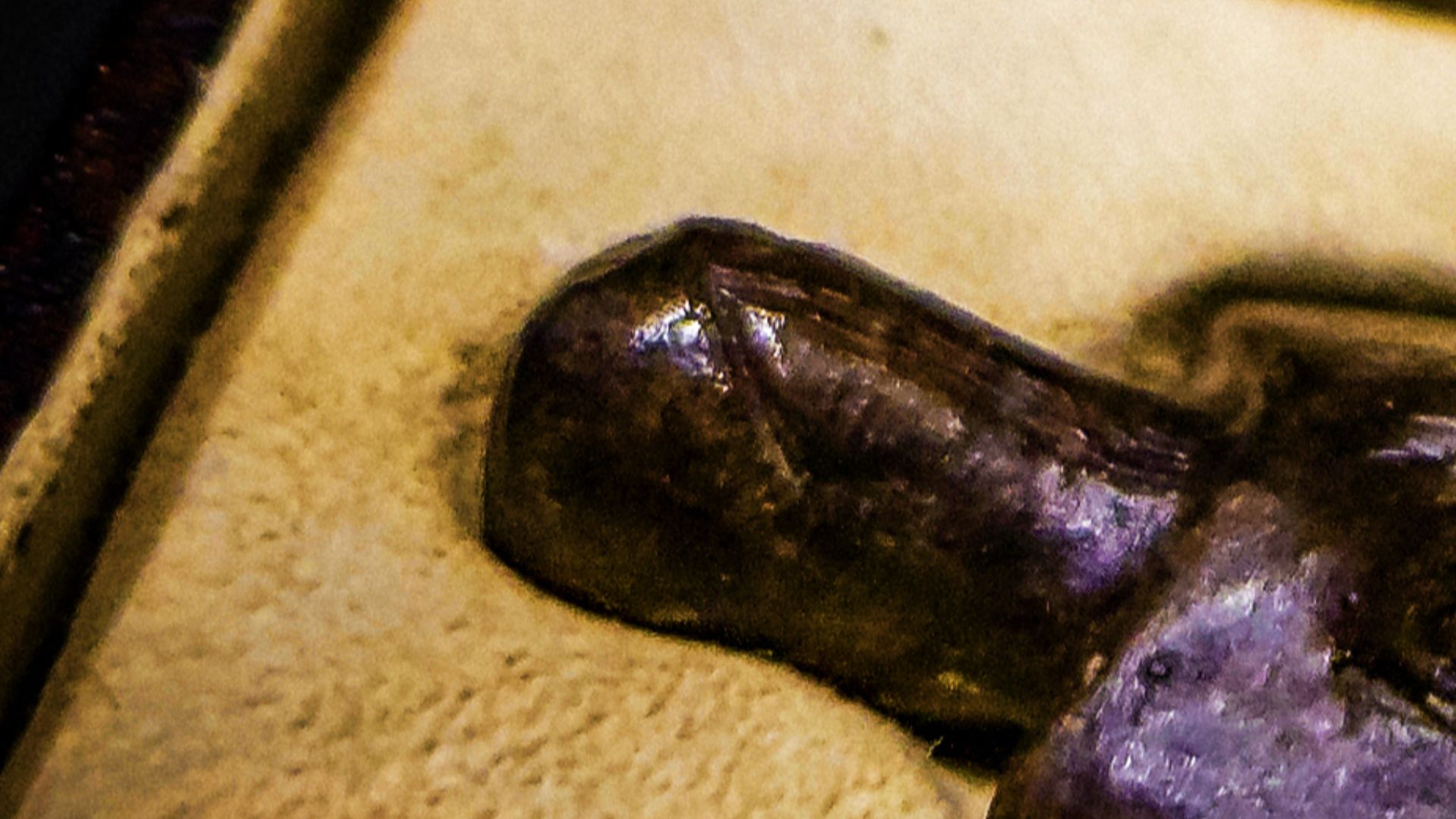 File:Venus of Dolni Vestonice 2014-09-30.jpg