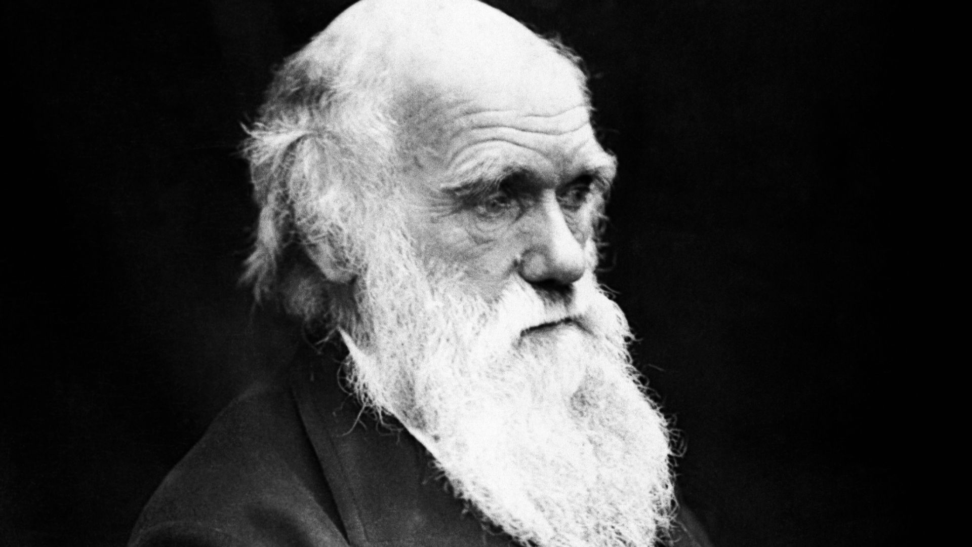 File:Charles Darwin 01.jpg