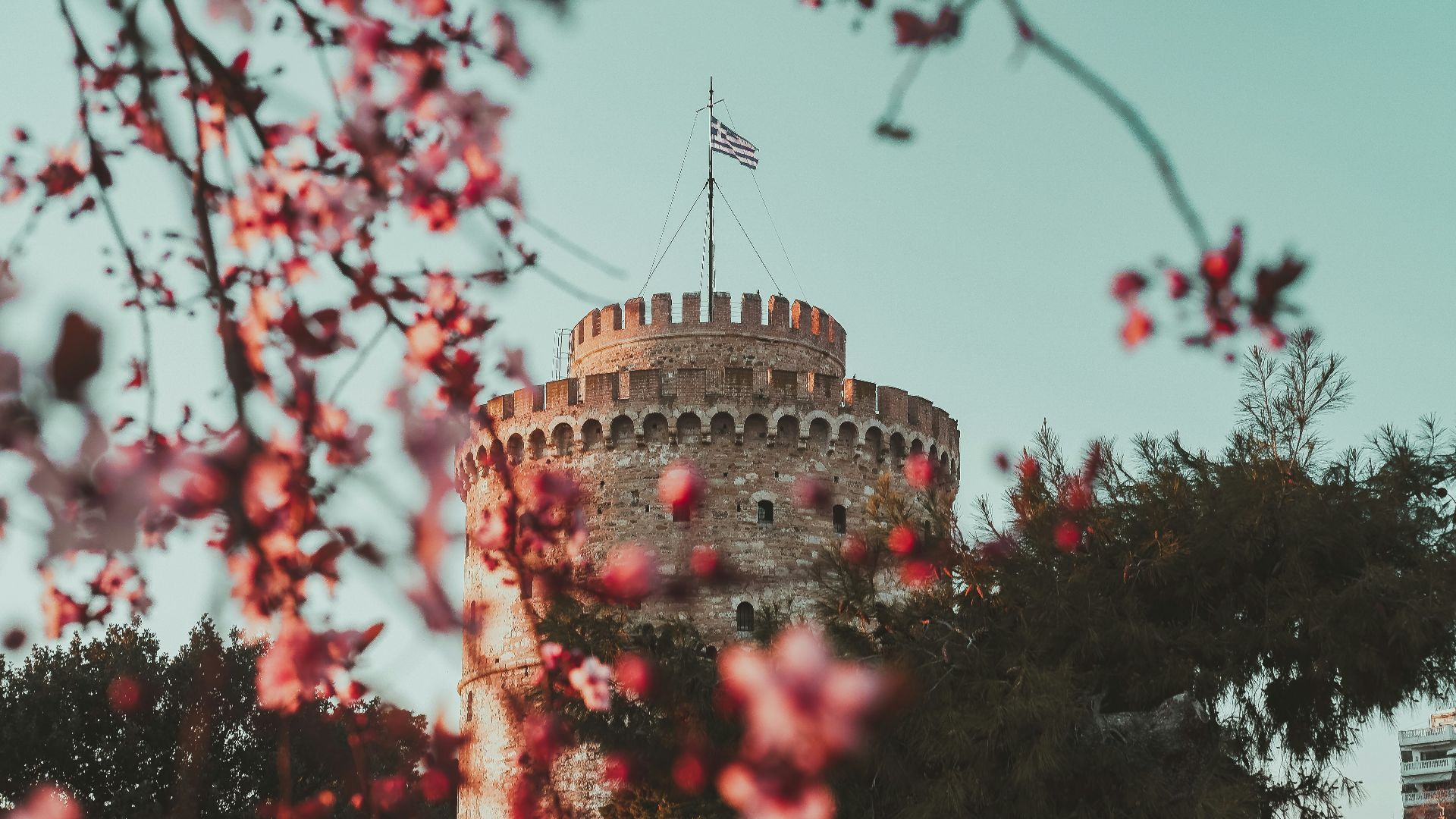 brown and green concrete building under white sky during daytime