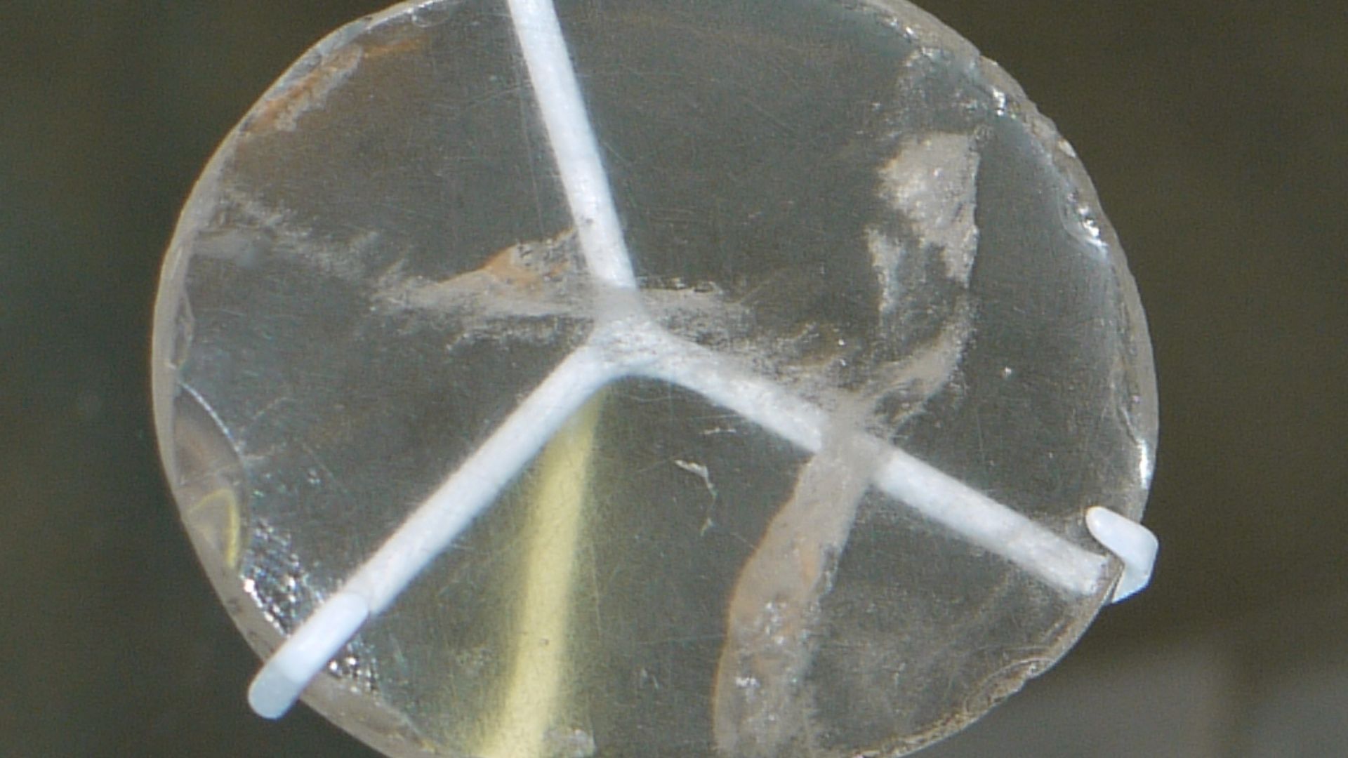 File:Nimrud lens British Museum.jpg