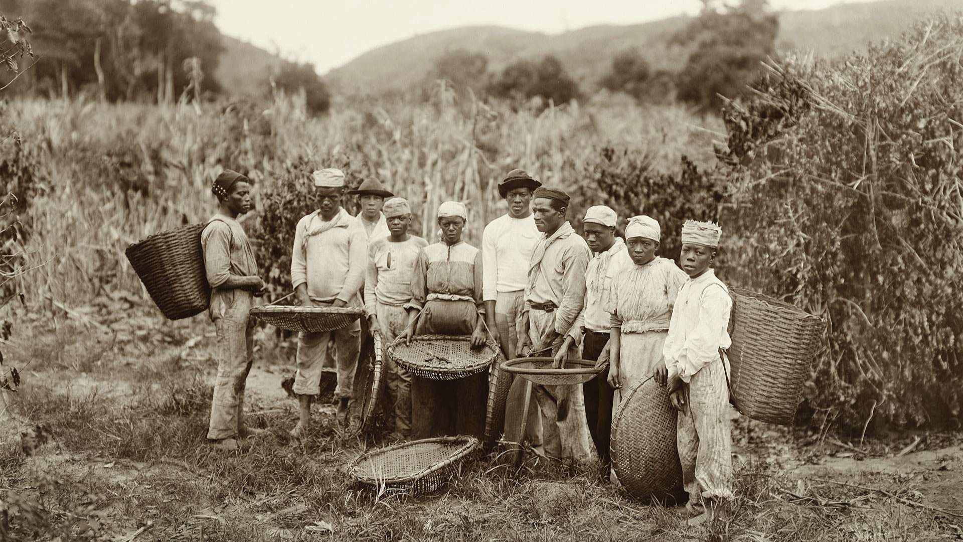 File:Slaves working on a coffee plantation 02.jpg