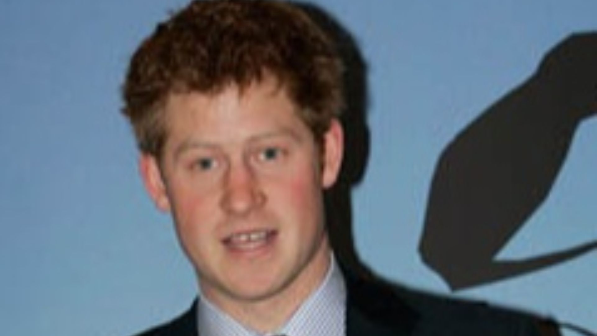 File:Prince Henry 2010.jpg