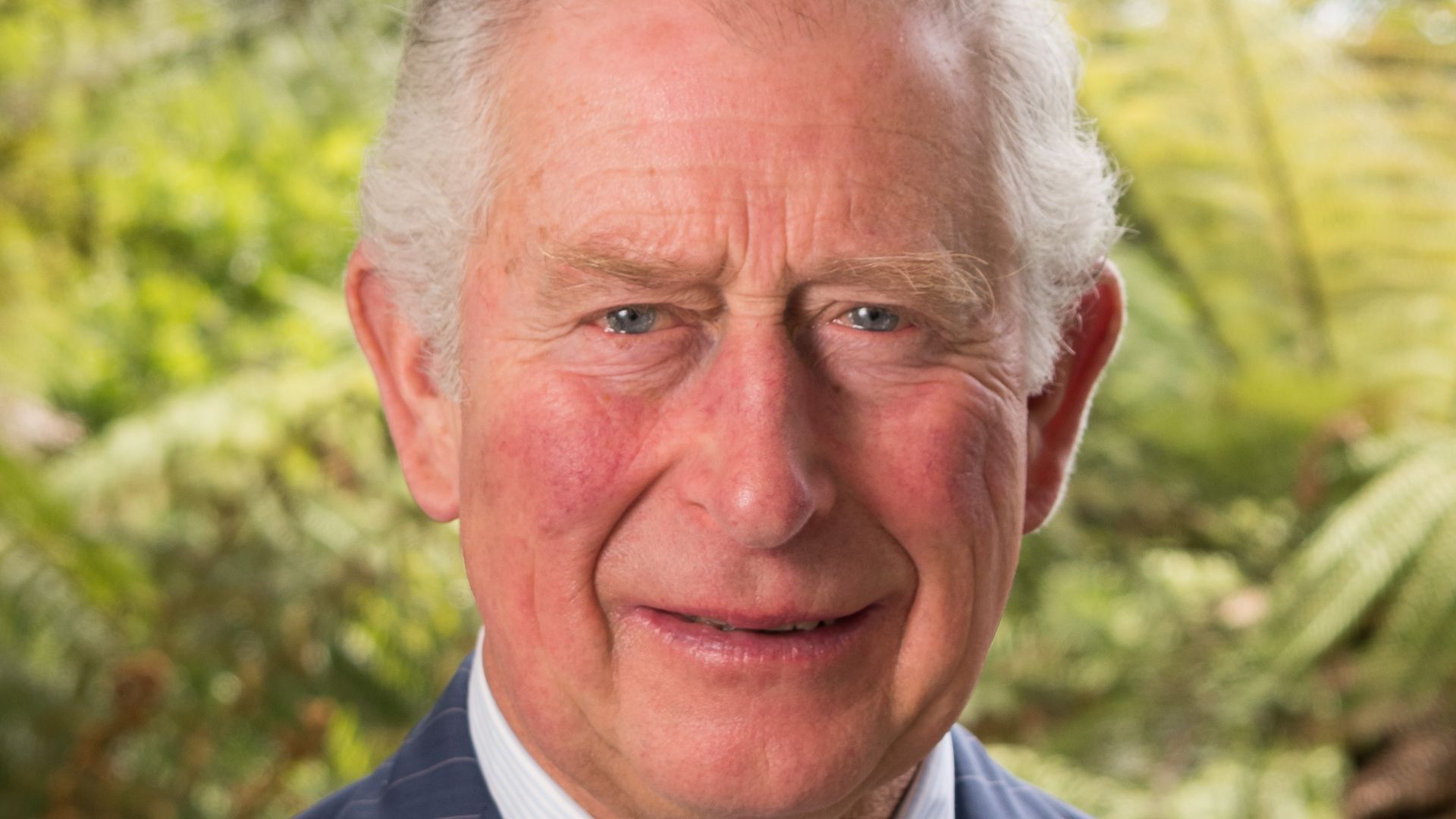 File:Prince Charles in Aotearoa (cropped).jpg