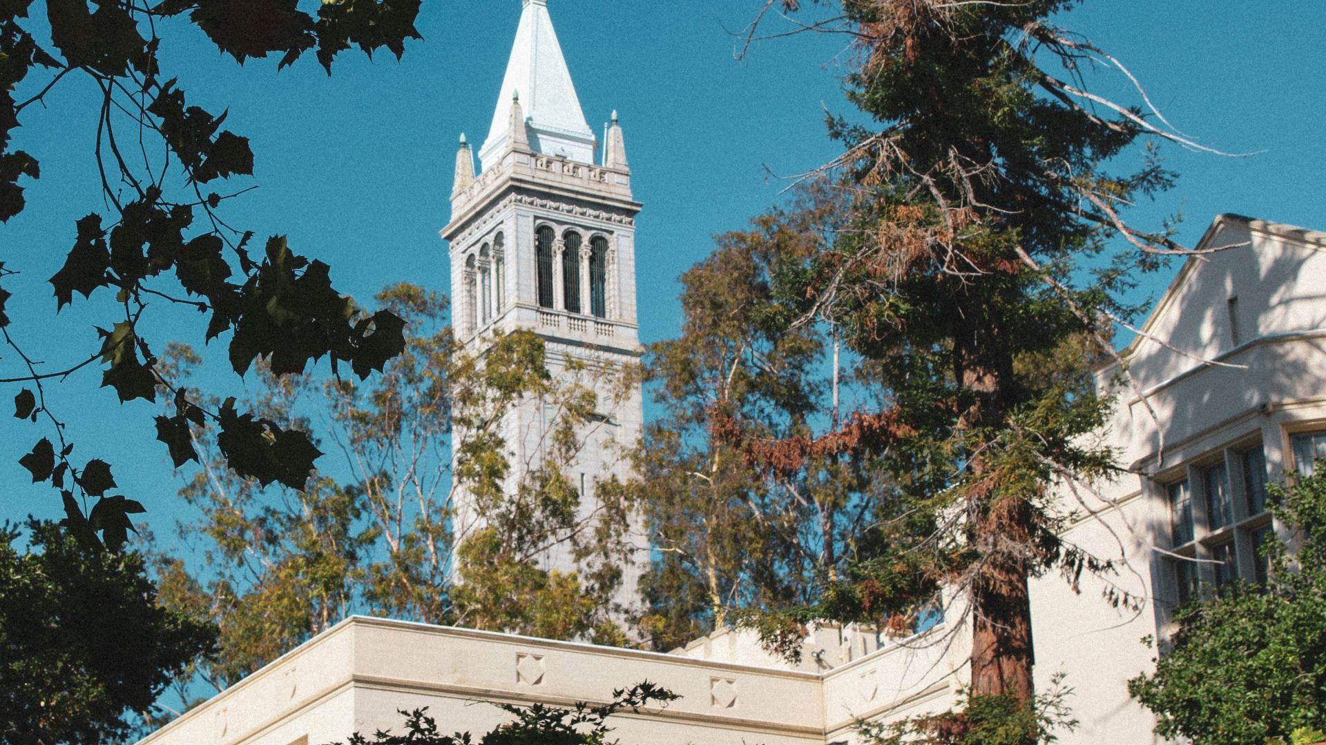 a tall white building with a steeple surrounded by trees