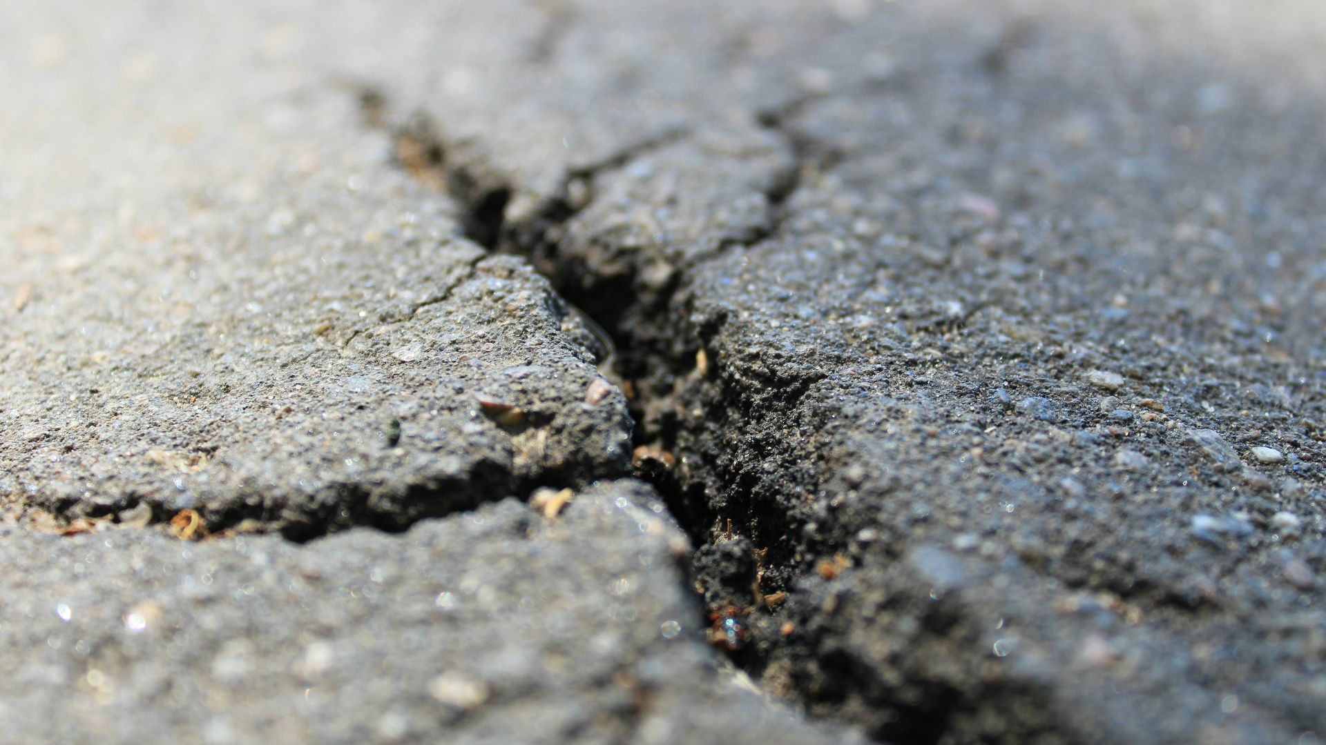 a crack in the asphalt of a road