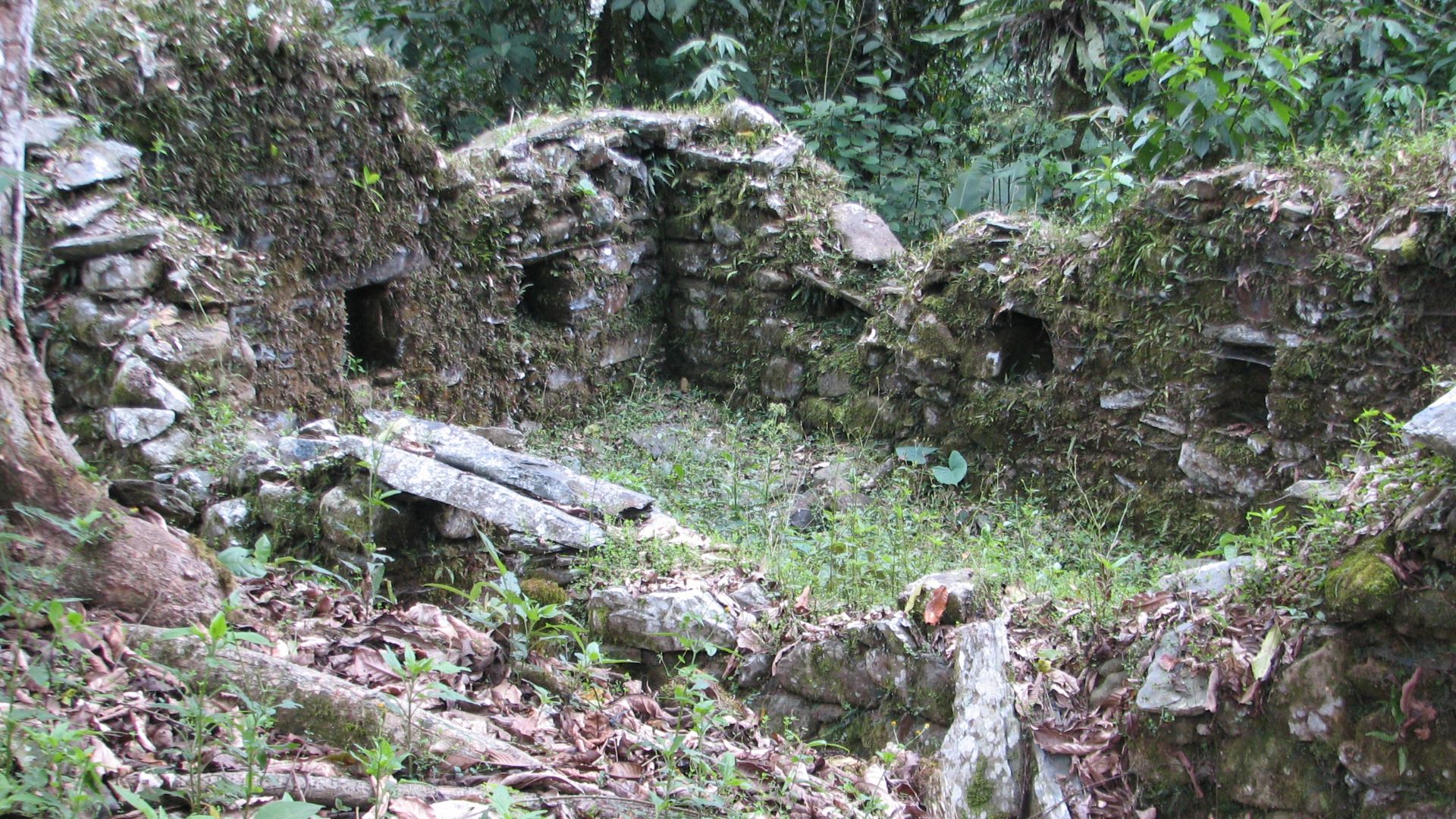 File:Espiritu Pampa Archaeological site - overgrown house.jpg