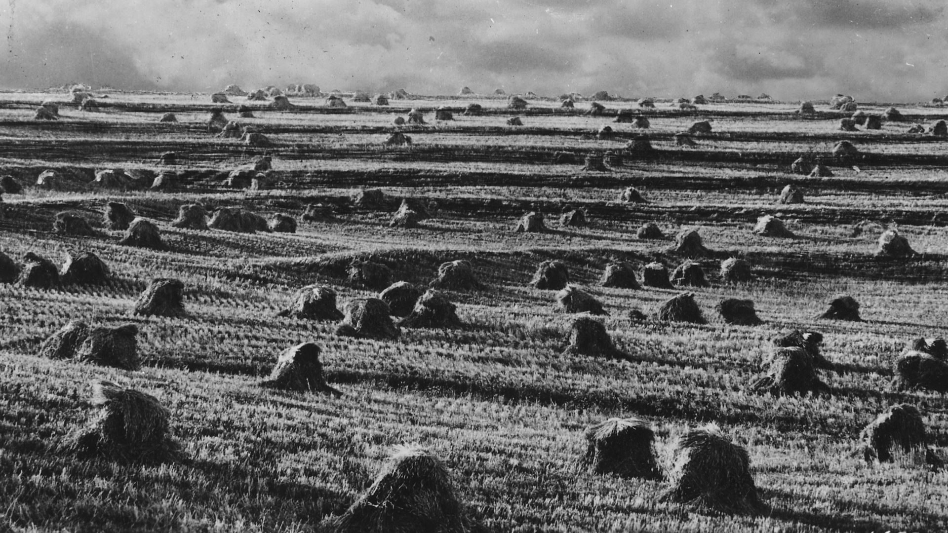 File:Terraced hay field - NARA - 286147.jpg