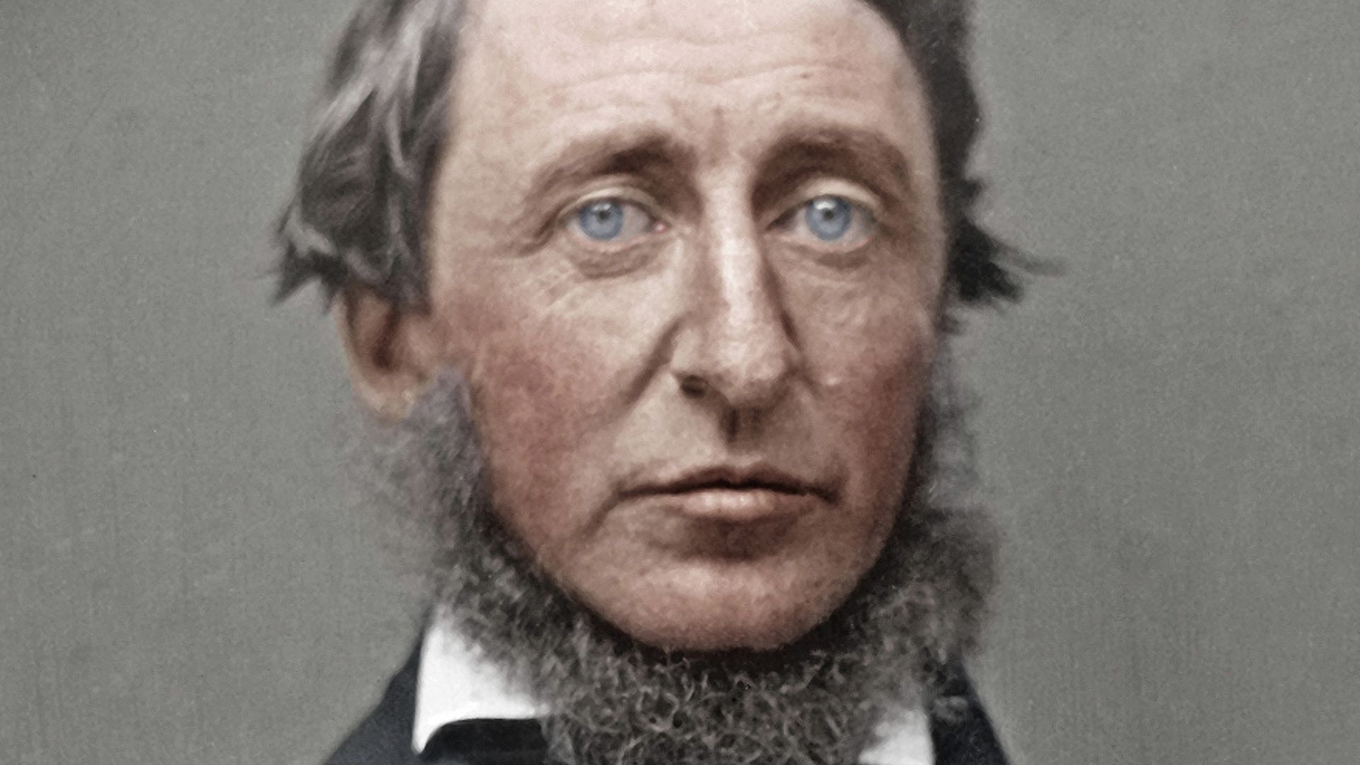 File:Colorthoreau2.jpg