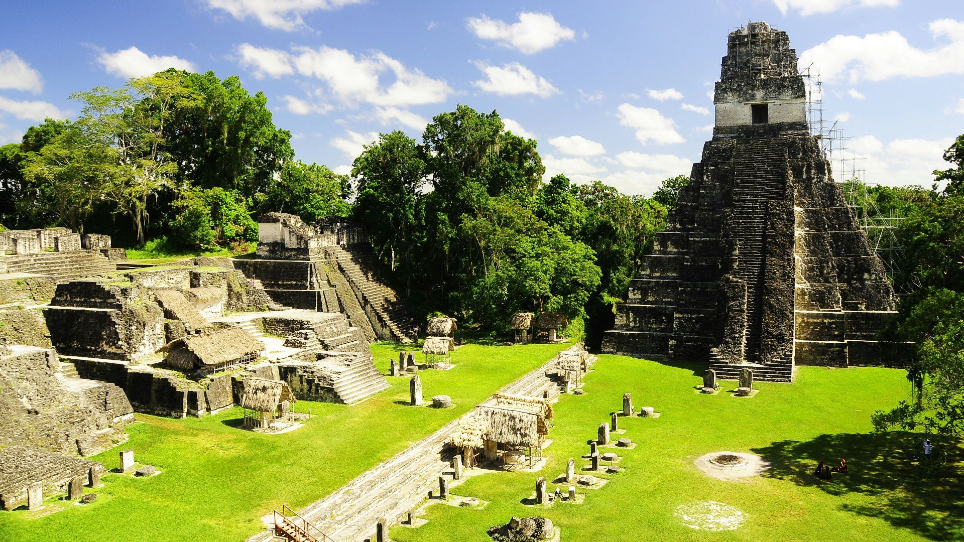 green grass field with trees under blue sky during daytime
