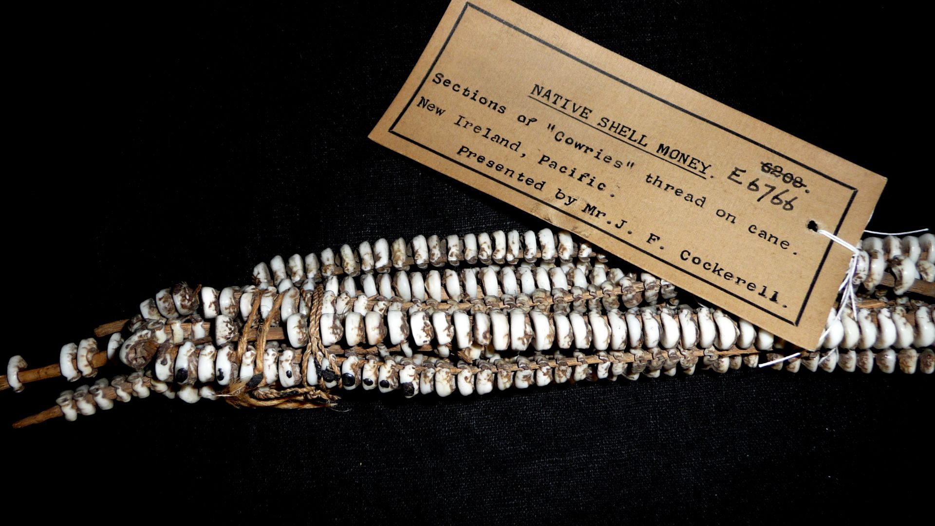 File:PNG Shell Money QM-r.jpg