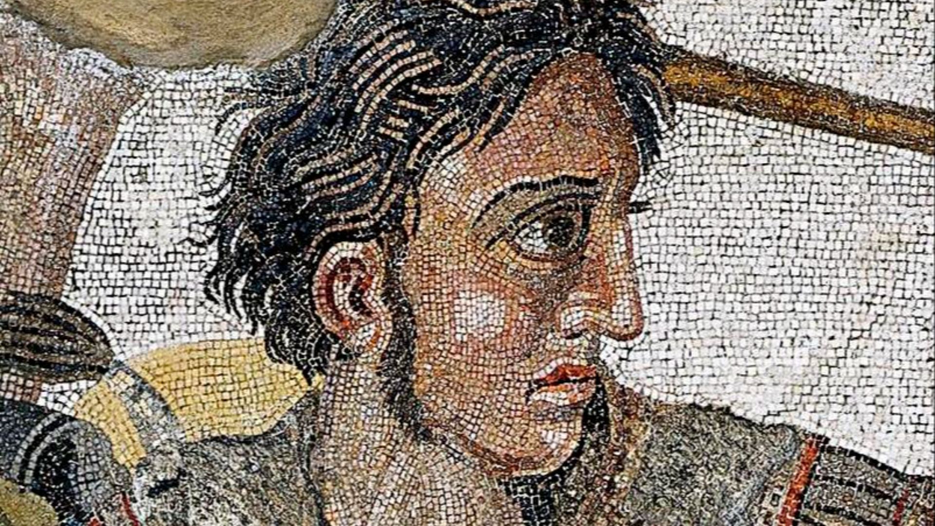 File:Alexander the Great mosaic (cropped).jpg