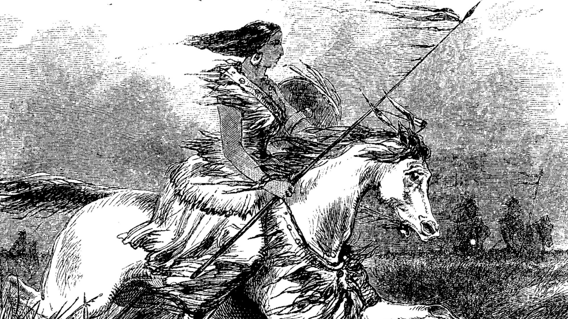 File:Beckwourth pine leaf11.jpg