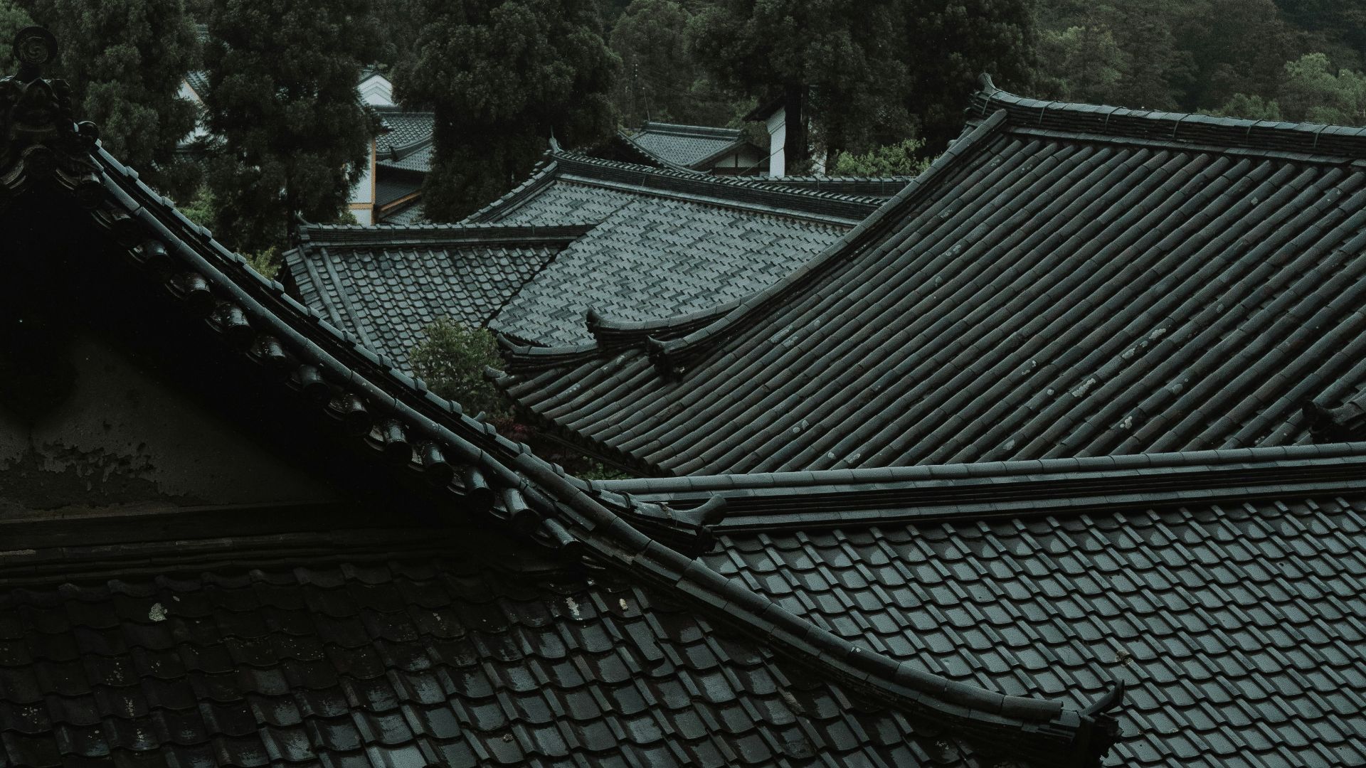the roof of a building with trees in the background