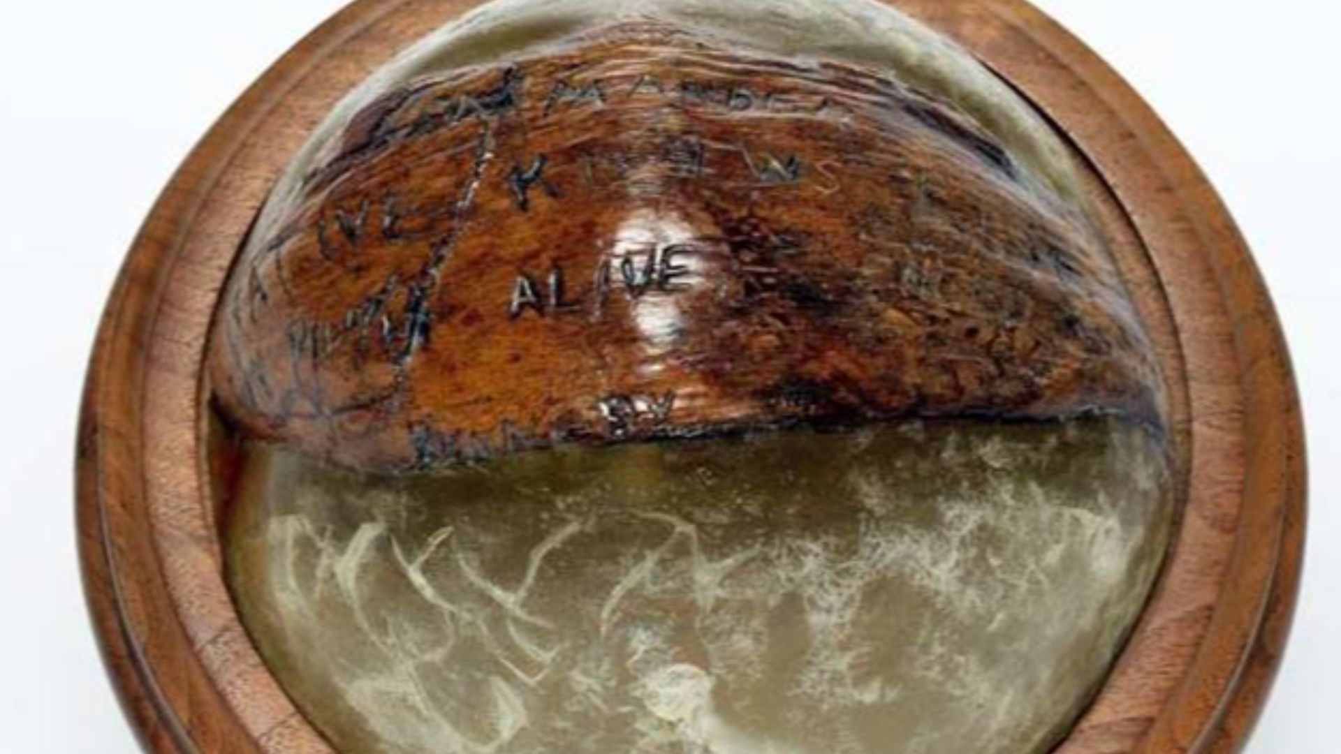 File:JFK PT-109 Coconut.jpg