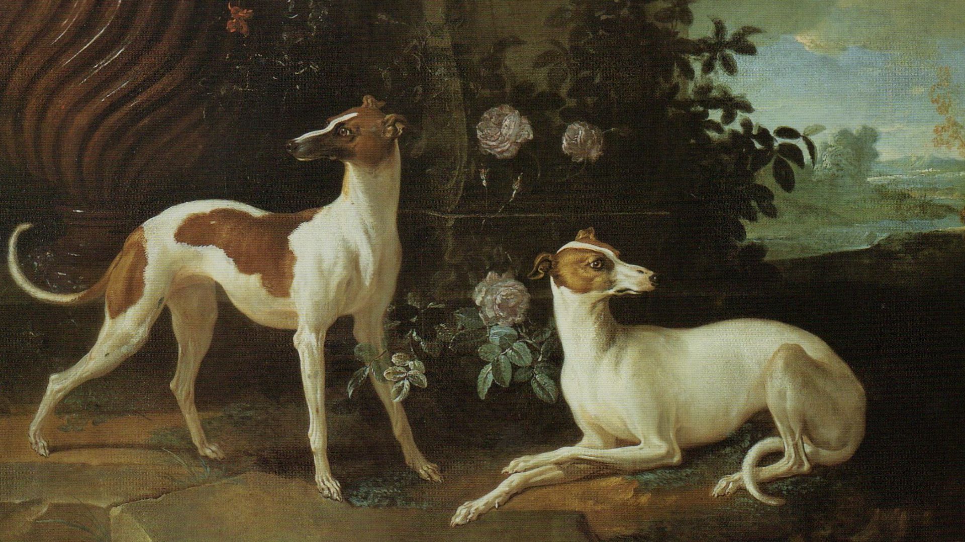 File:Misse and Turlu, Two Greyhounds Belonging to Louis XV.jpg