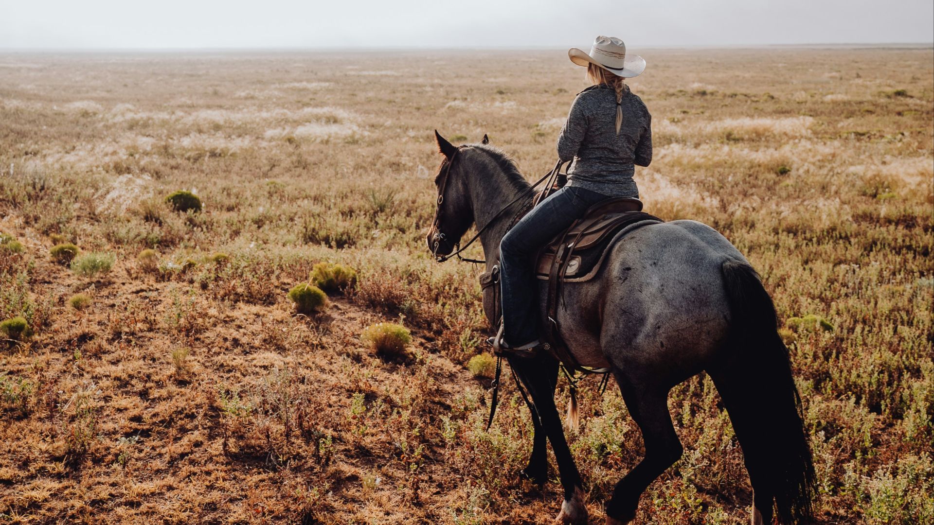 a man riding on the back of a black horse