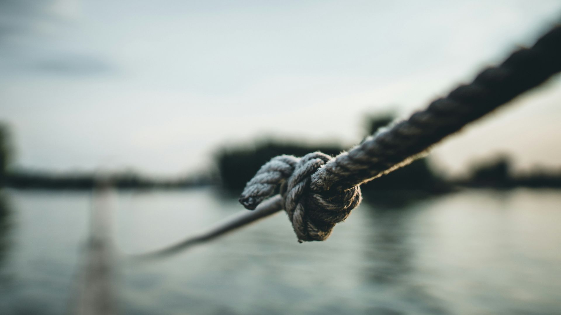 selective focus photography of gray rope