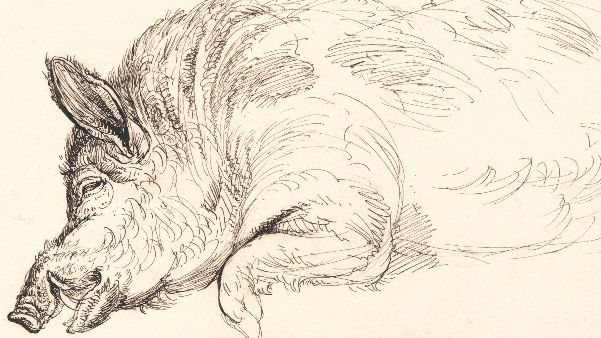 File:James Ward - A Wild Boar, Asleep or Dead - Google Art Project.jpg