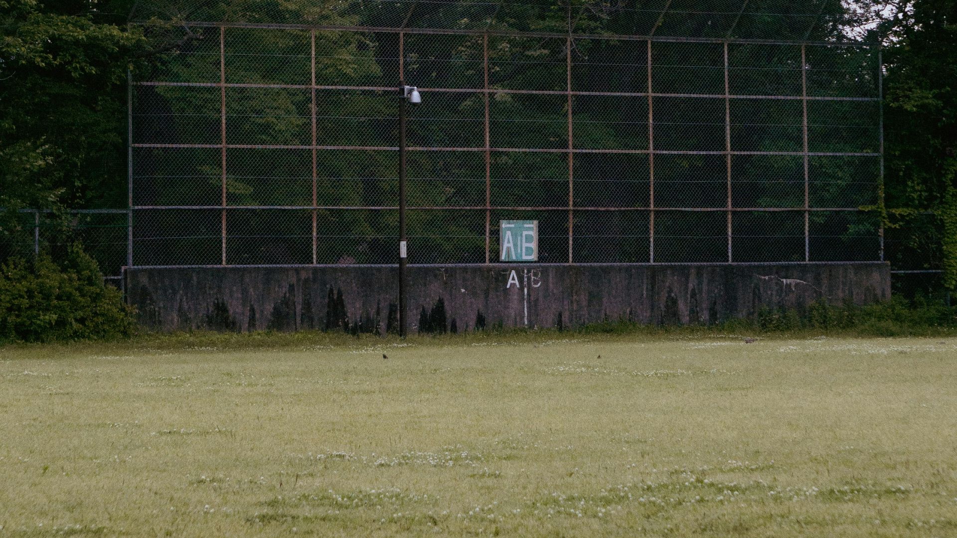a person on a field with a frisbee