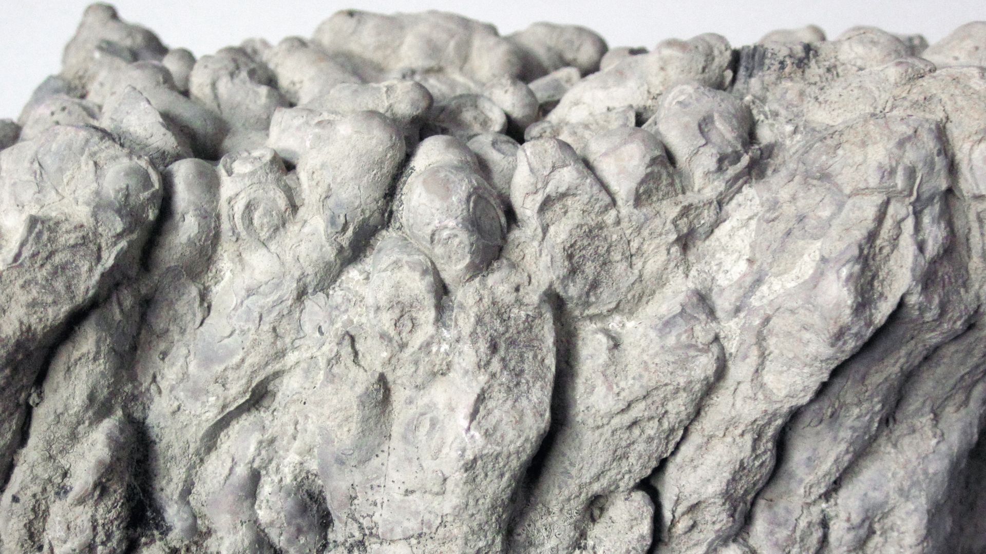 File:Travertine 7.jpg