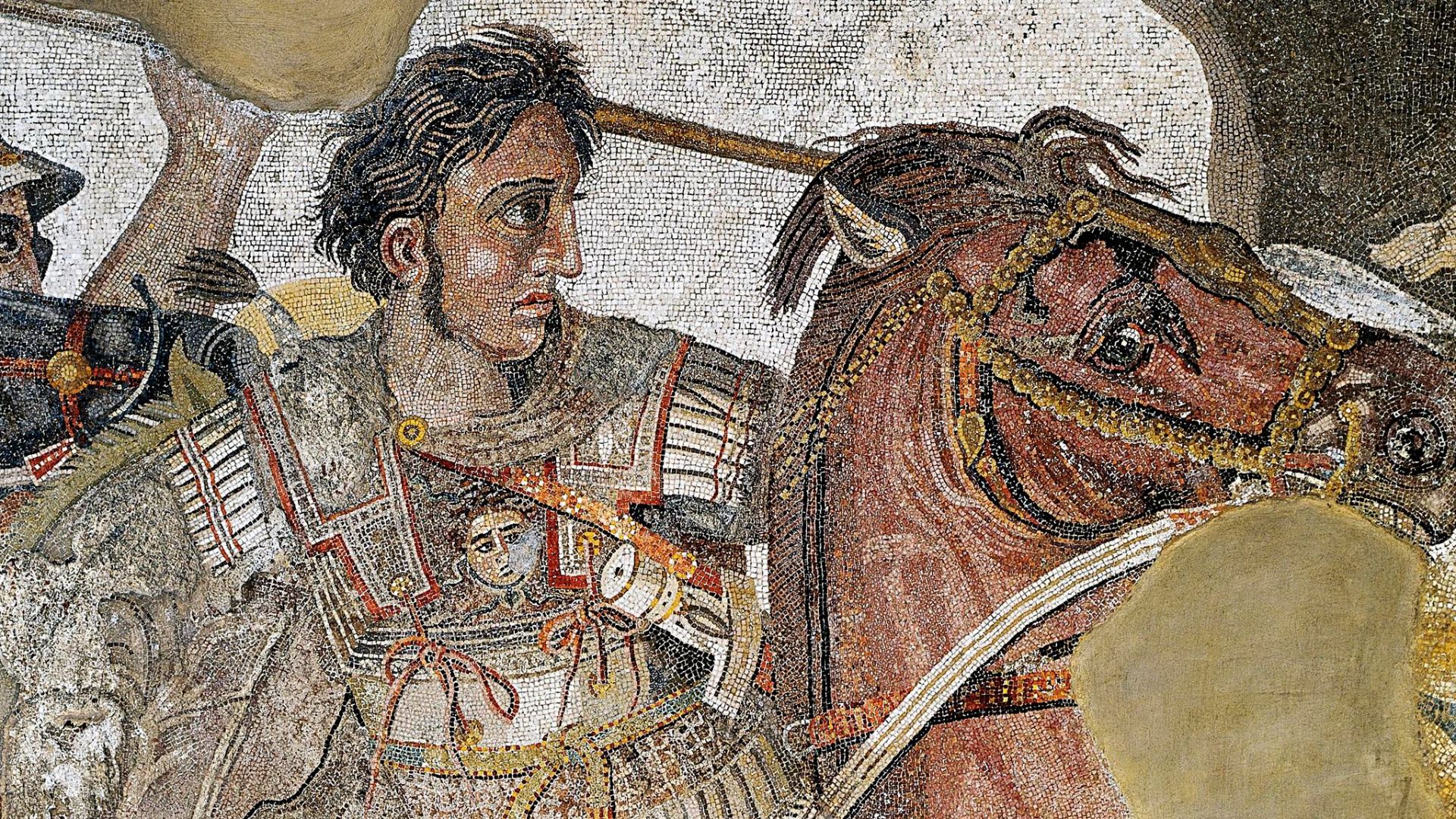 File:Alexander the Great mosaic.jpg