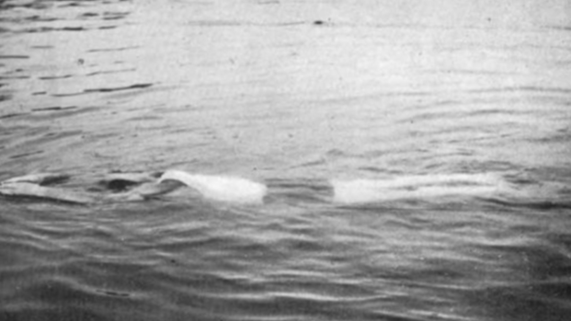 File:Plunge For Distance Handley 1918.jpg