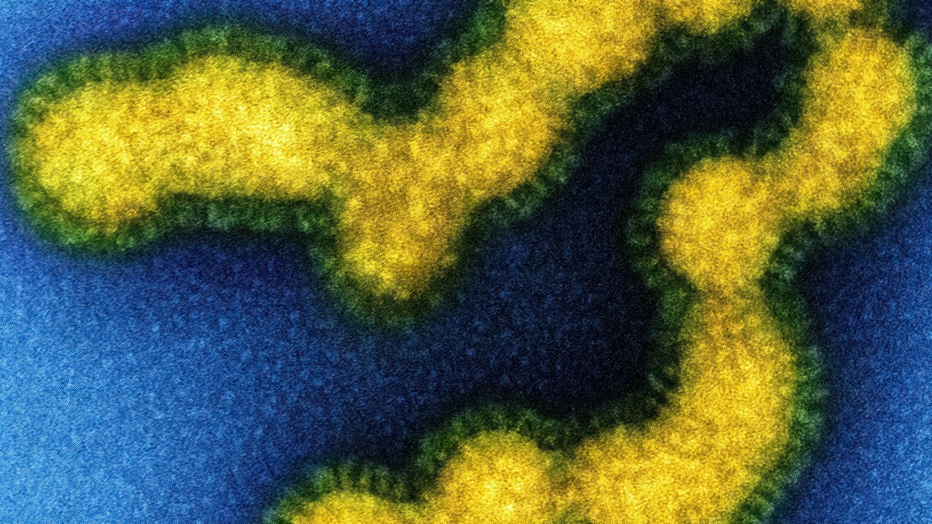 a yellow and green object on a blue surface