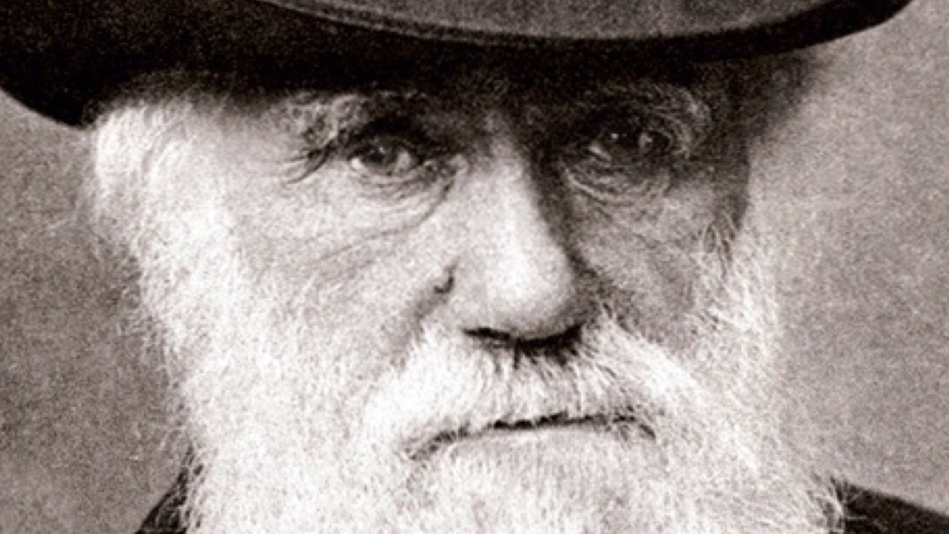 File:Charles Darwin 1880.jpg