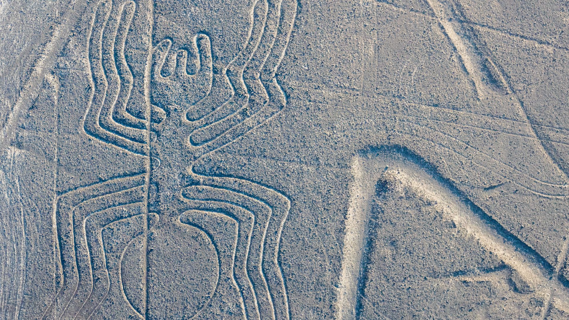 File:Líneas de Nazca, Nazca, Perú, 2015-07-29, DD 54.JPG