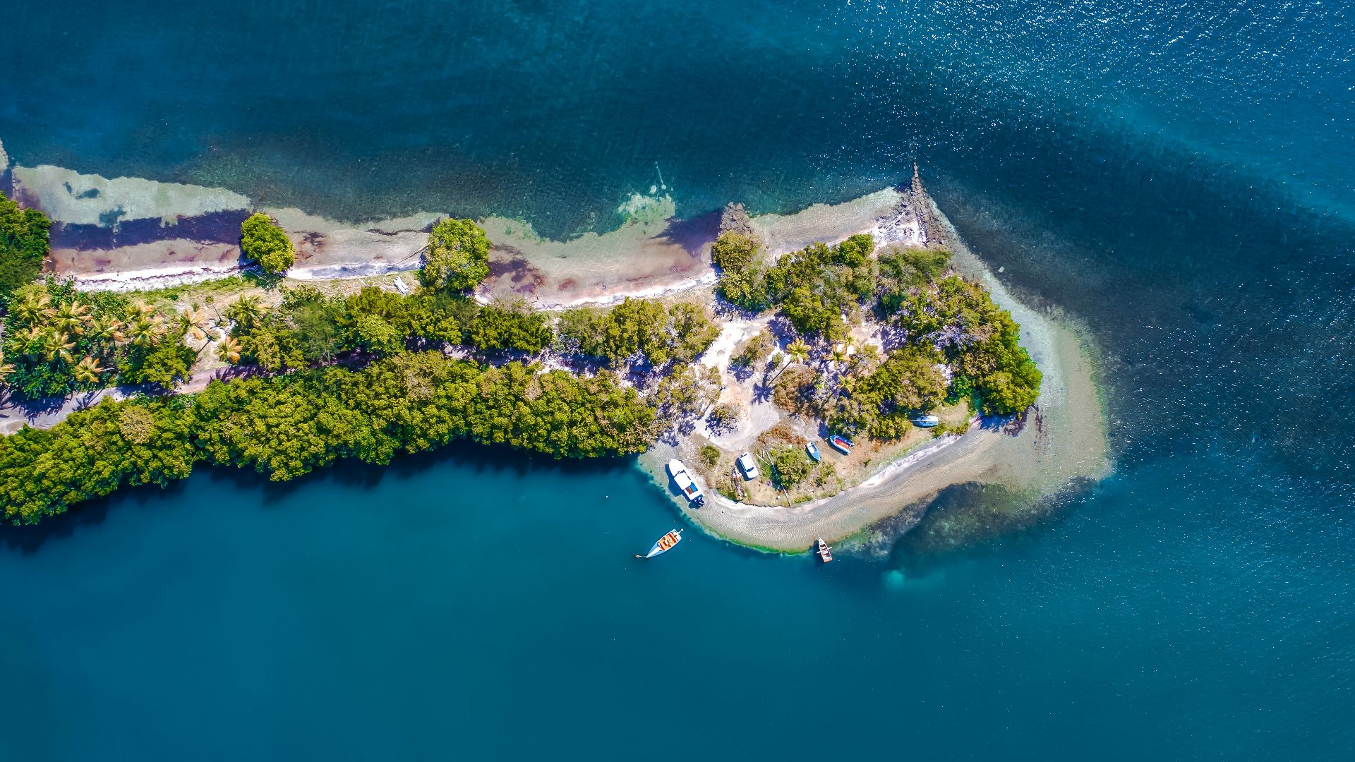 aerial view of green island during daytime