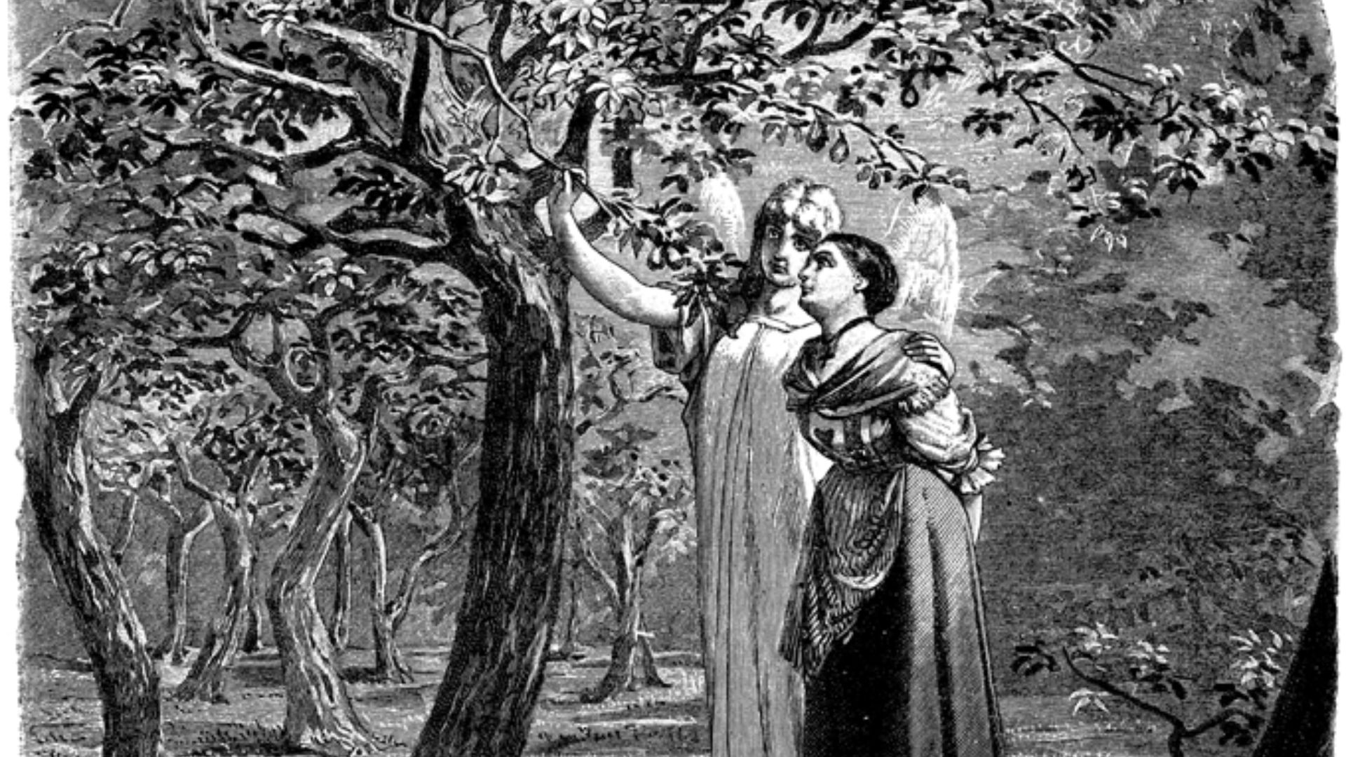 File:The Girl Without Hands (Philipp Grot Johann).gif