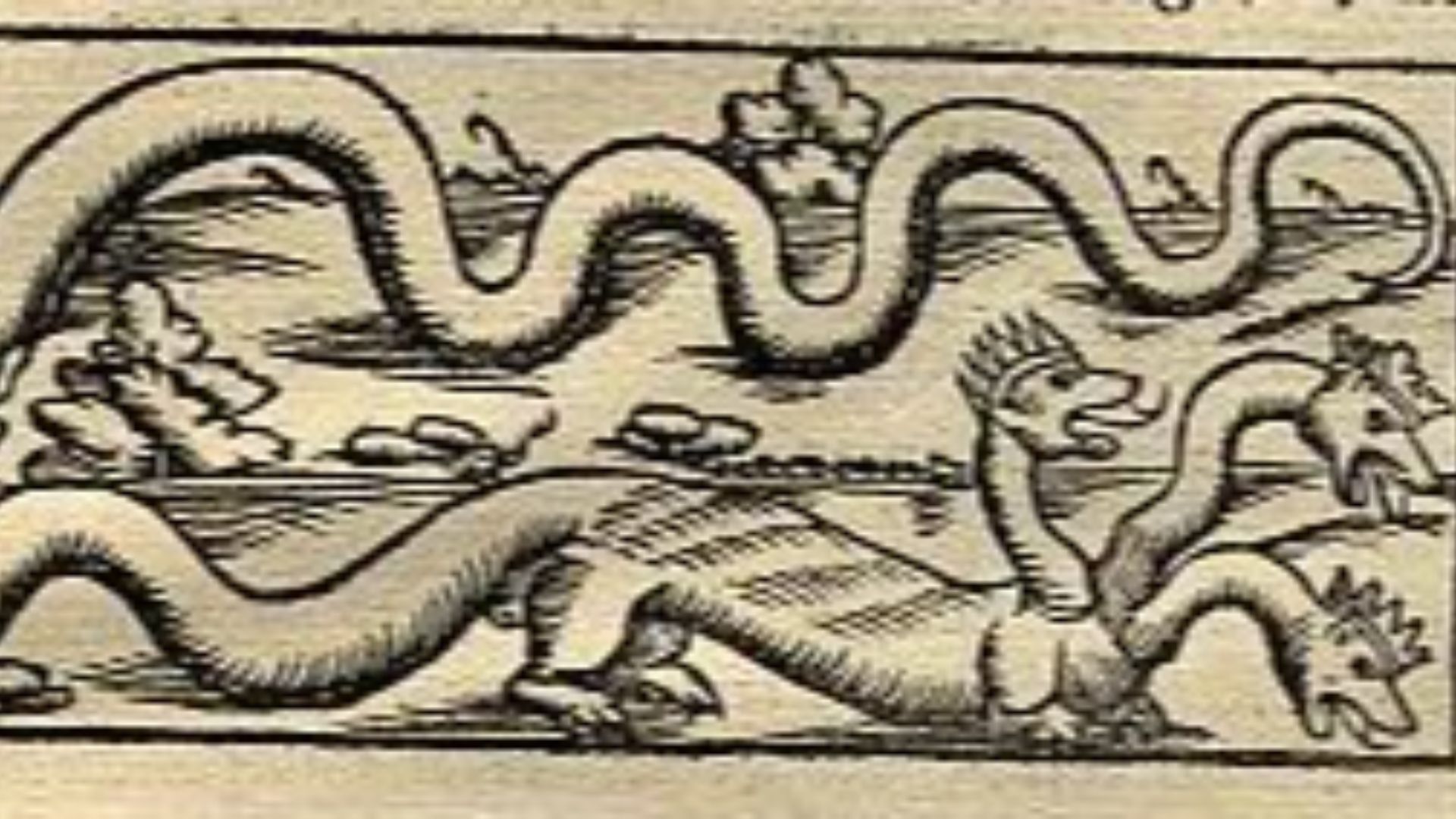 File:Two three-headed crested hydras or serpents with weasel-like bodies.jpg