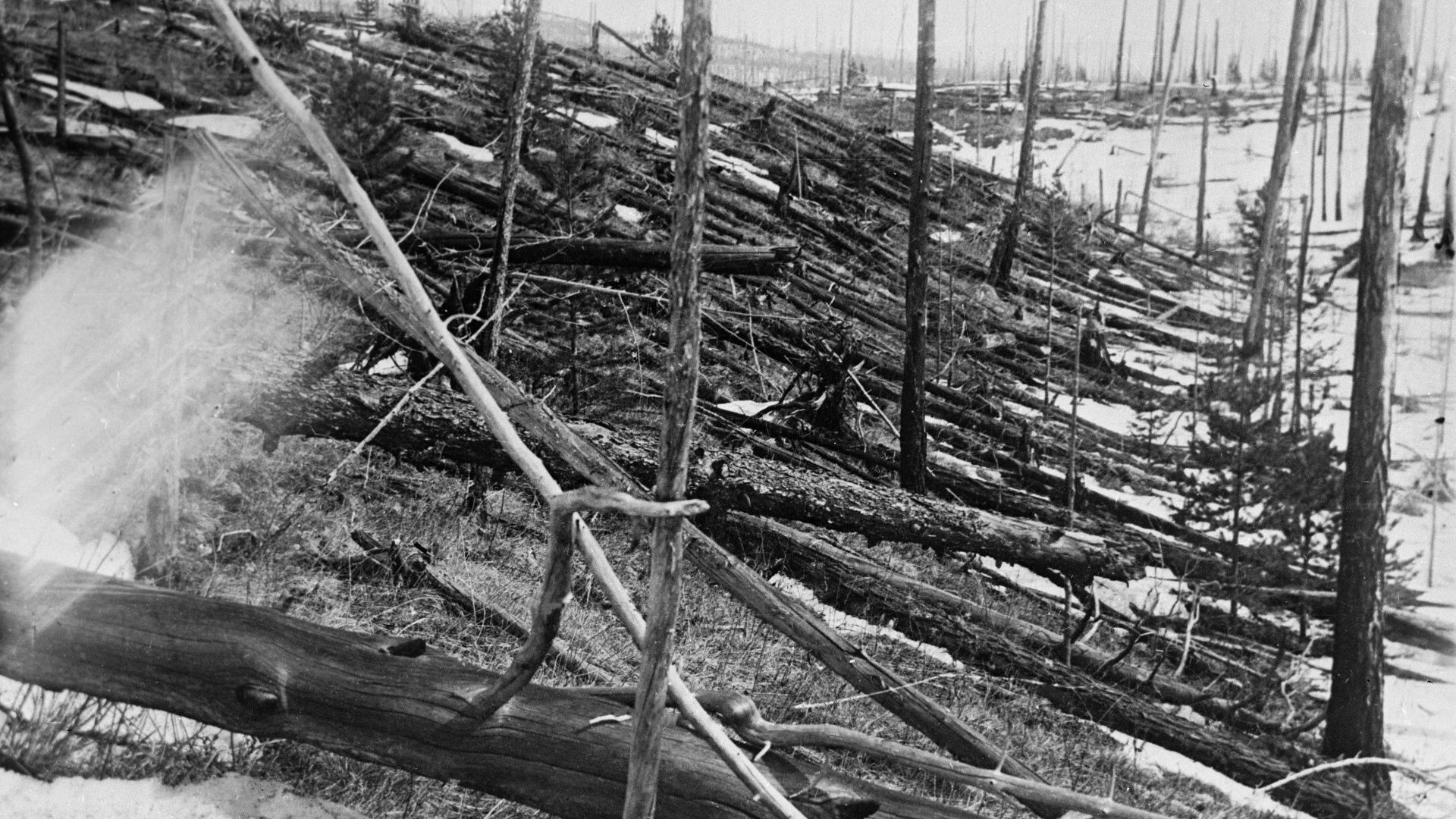 File:Tunguska Ereignis-1.jpg