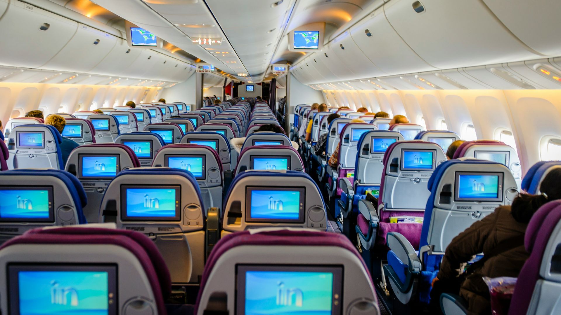 blue and white airplane seats