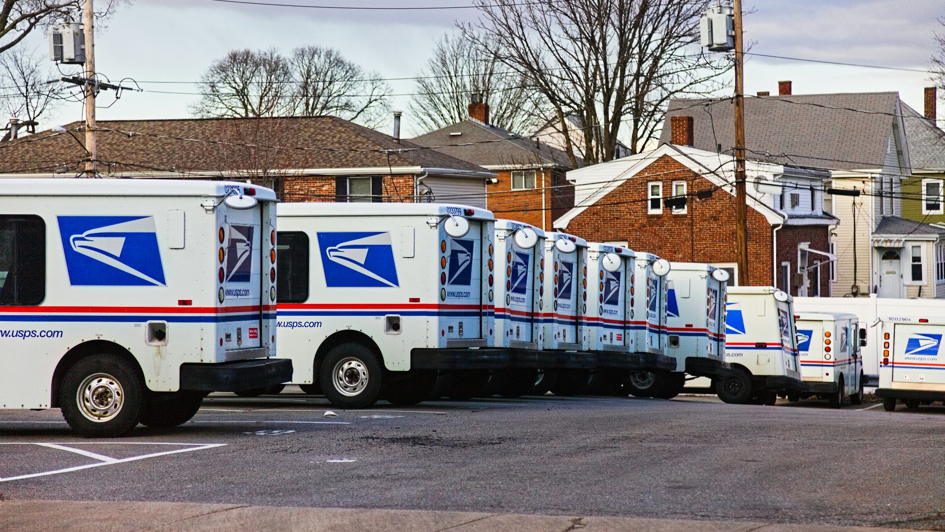 white and red van parked near bare trees during daytime