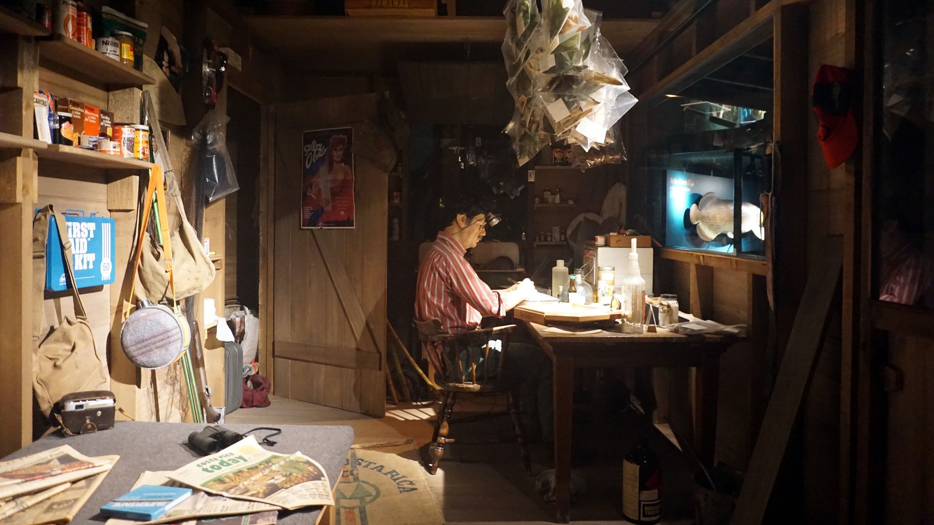 File:Milwaukee Public Museum October 2023 09 (Rainforest--Today's Scientist- In the Field).jpg