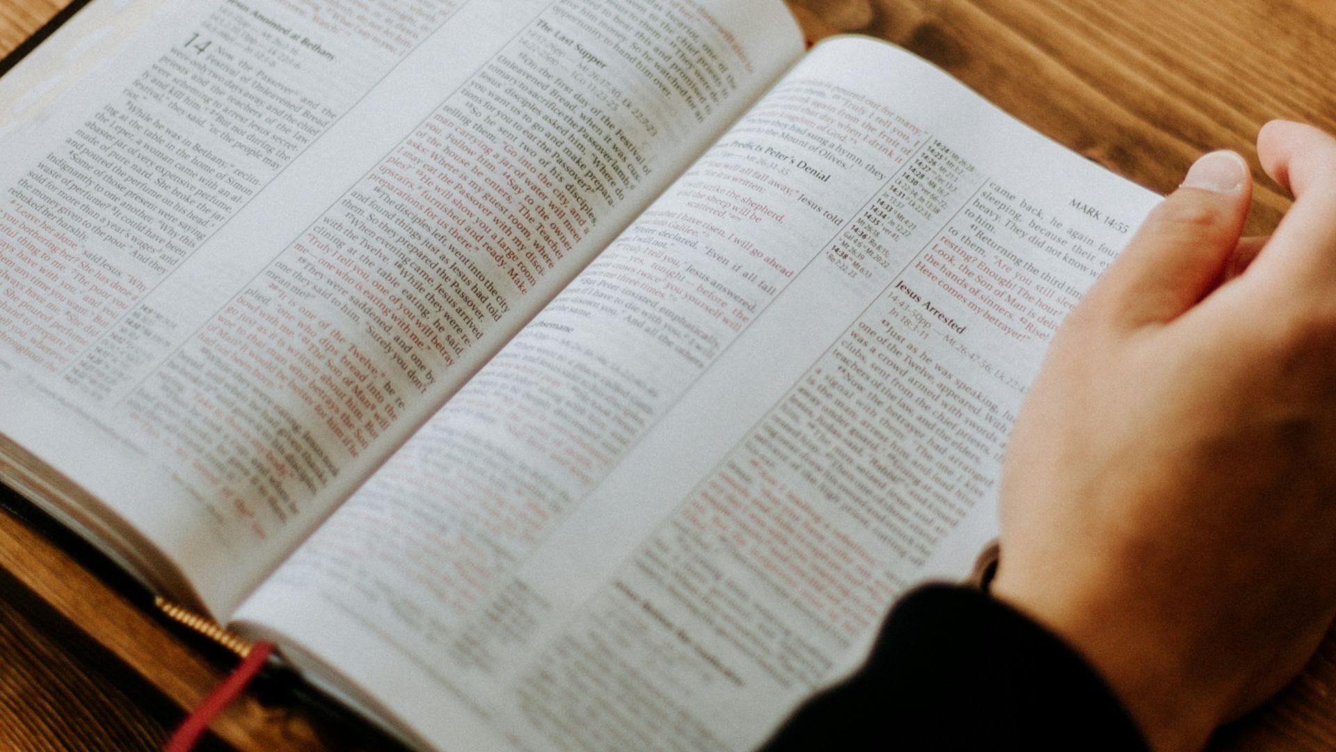 person holding white printer paper