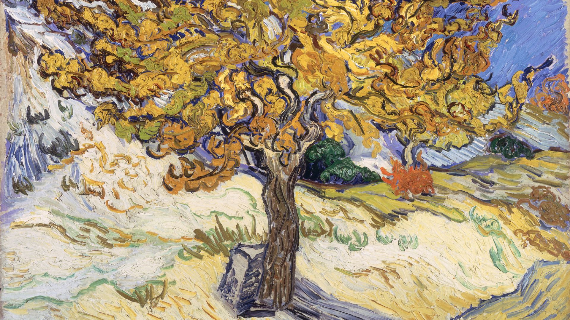 File:Van Gogh - Maulbeerbaum.jpeg