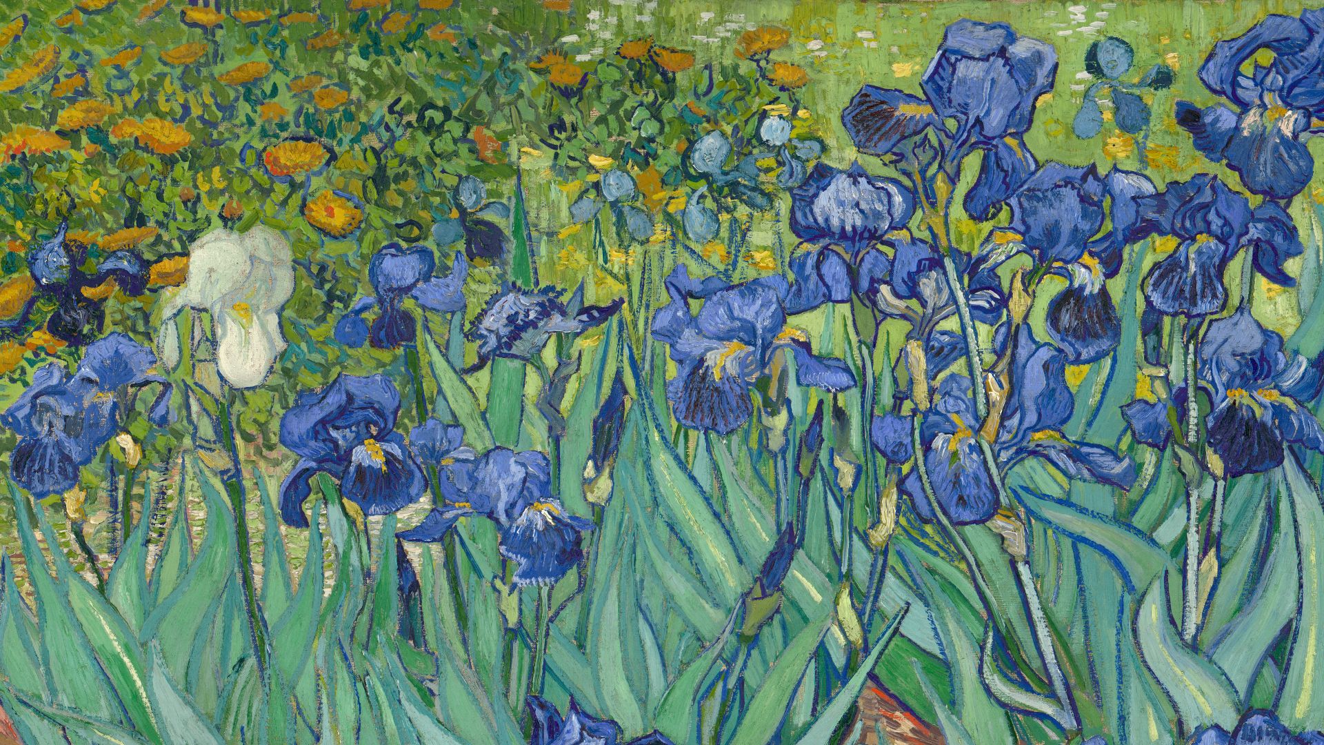 File:Irises-Vincent van Gogh.jpg