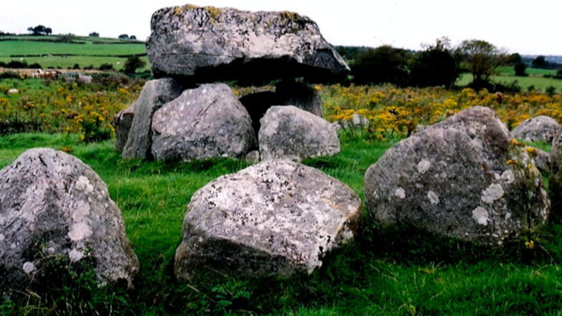 File:Carrowmore Megalithic Cemetery - geograph.org.uk - 1351762.jpg