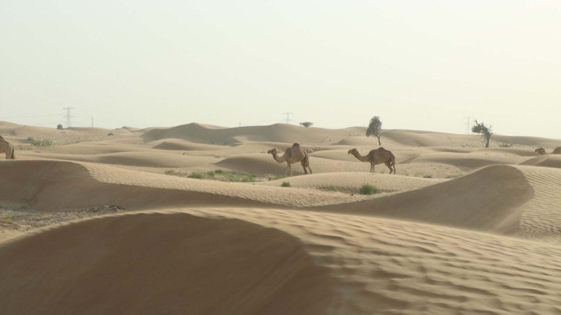 File:Dubai desert hatta.jpg