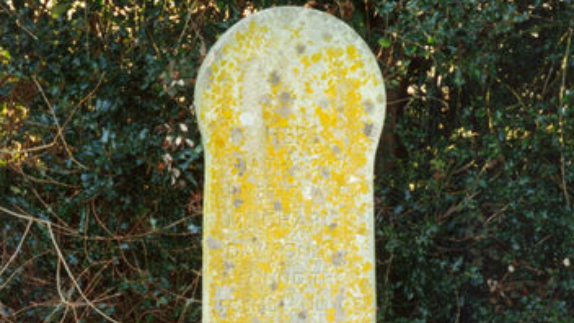 File:Piltdown man memorial.jpg