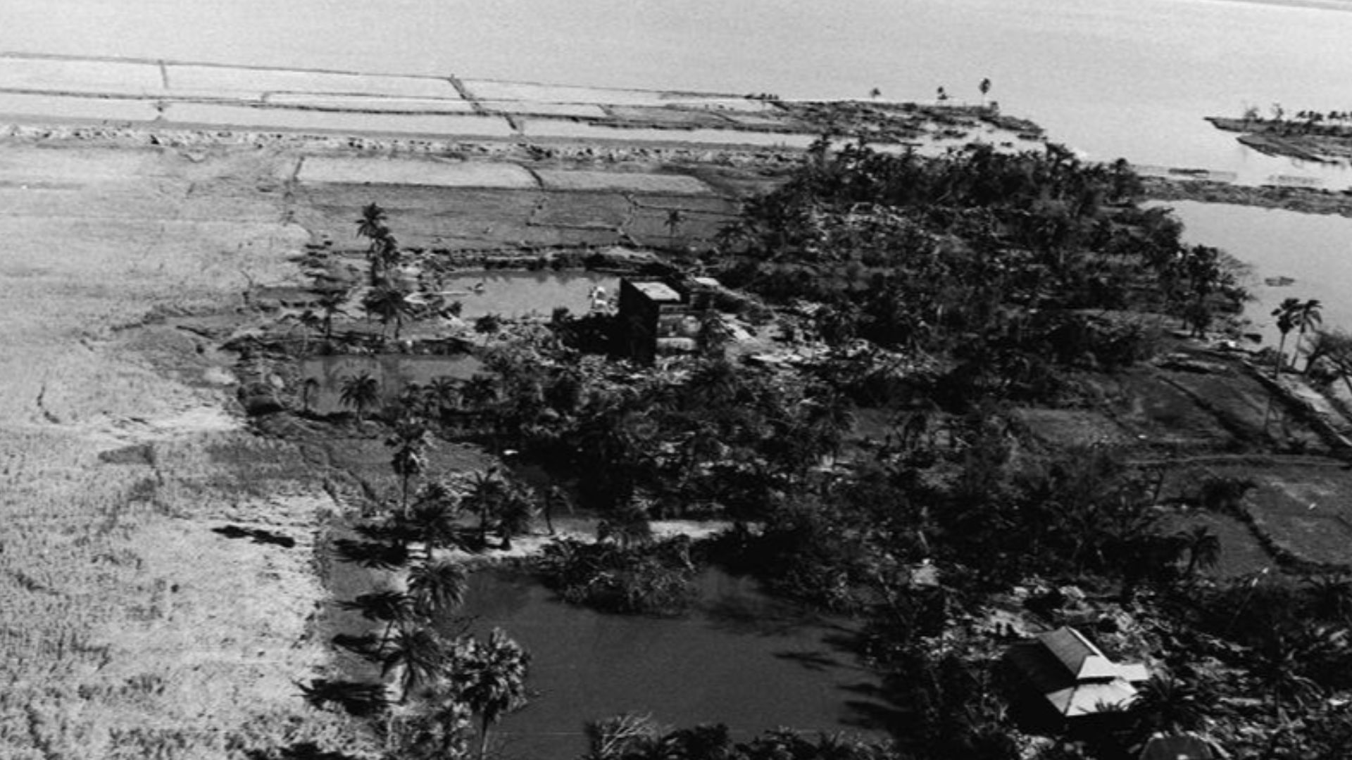 File:Patuakhali in Bhola Cyclone 1970.jpg