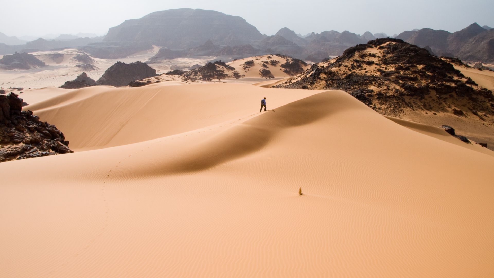 File:Libya 4985 Tadrart Acacus Luca Galuzzi 2007.jpg