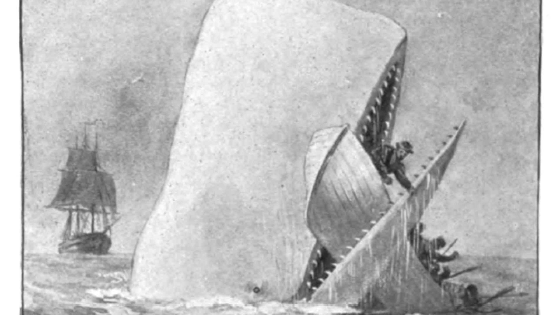 File:Moby Dick p510 illustration.jpg